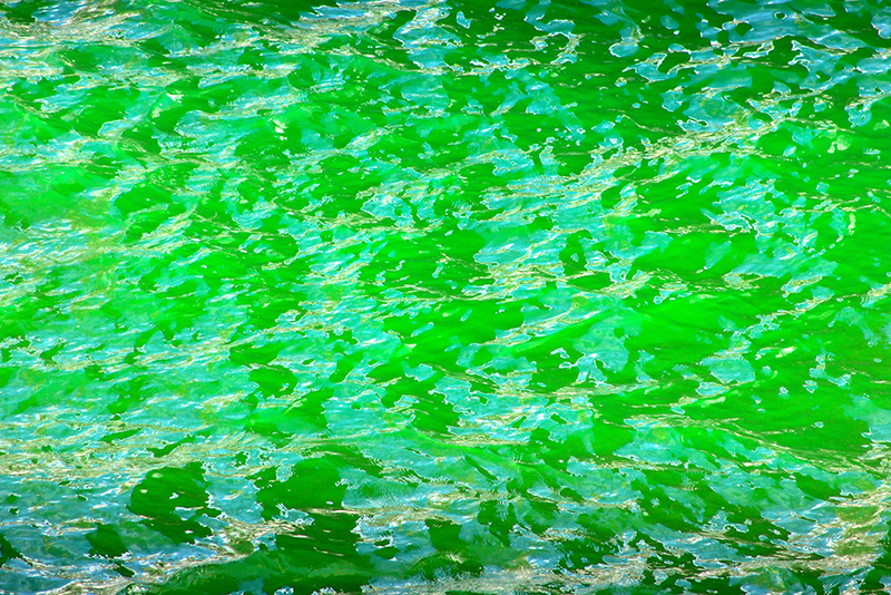 Illustration for article titled 16 Gorgeous Green St. Patrick's Day Celebrations